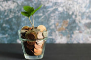 Maceta con monedas donde crece una planta. Representando los frutos del trabajo duro